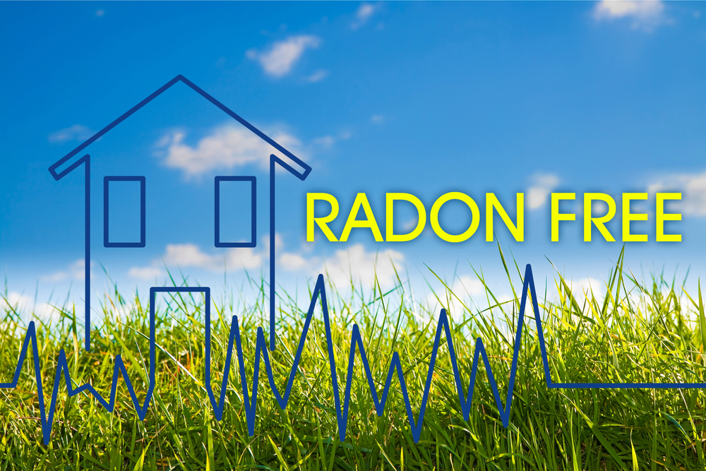 Radon inspector
