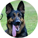 Ali Z Avatar